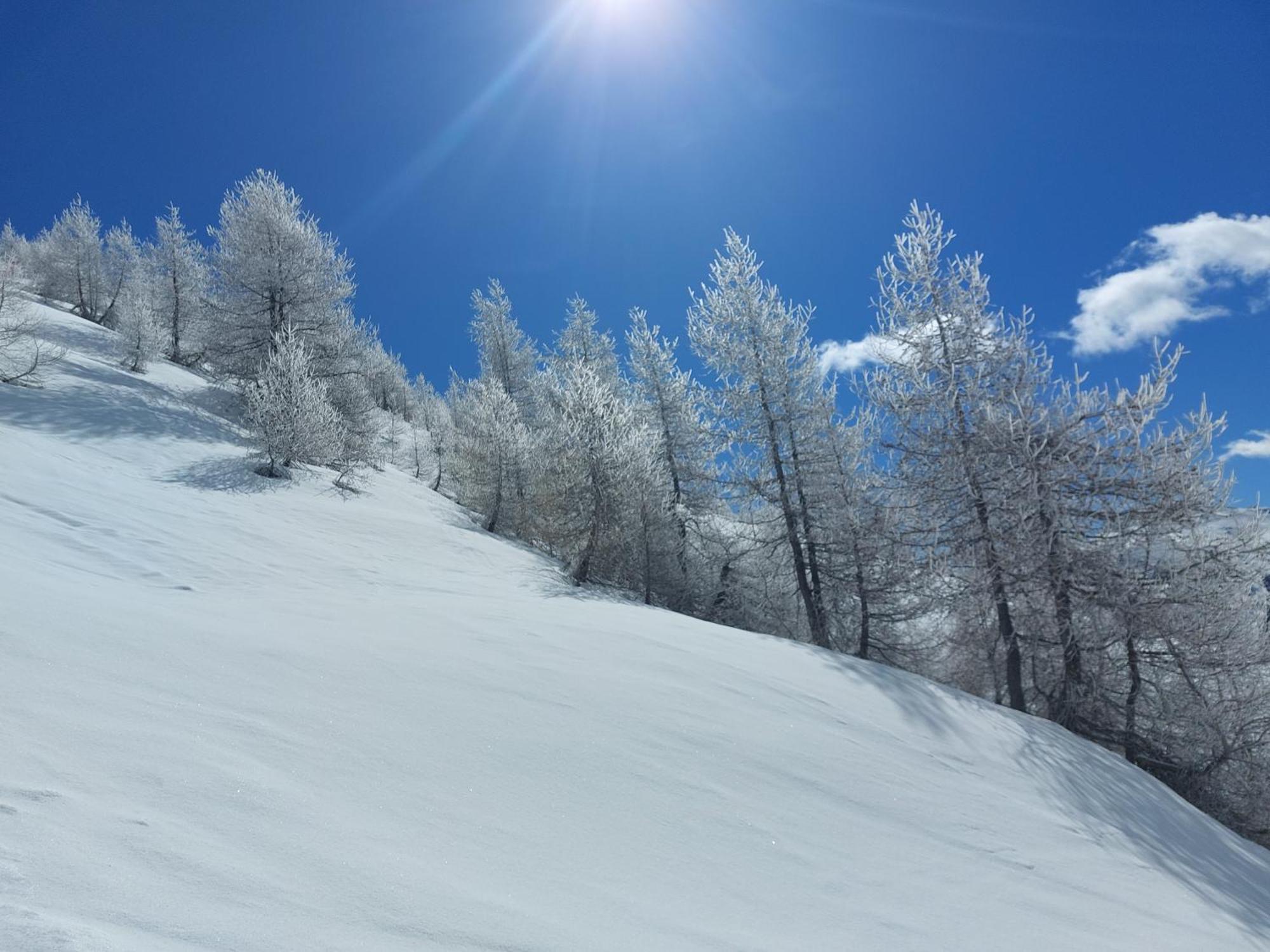 Le Studio Du Queyras Avec Vue Sur La Montagne Abriès Zewnętrze zdjęcie